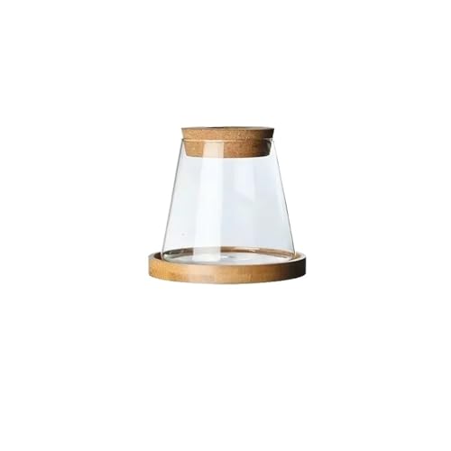 TXLEAPEY Hydroponische Vase aus Glas mit Tablett – Mini-Übertopf mit Selbstbewässerung for Tischpflanzen, einfaches Wohndekor(Color 4) von TXLEAPEY