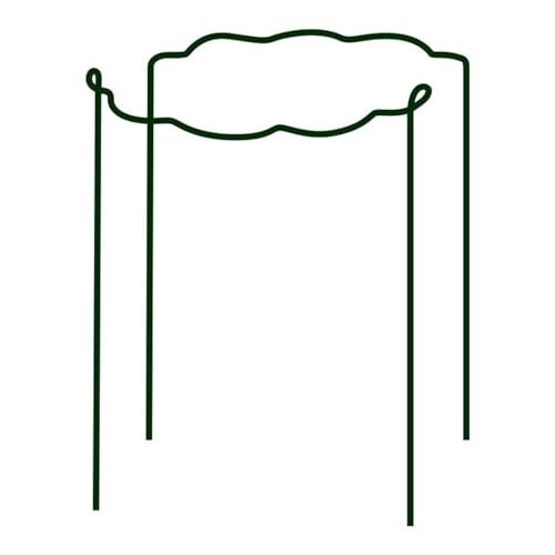 TXLEAPEY Rose Klettern Pergola Draht Säule Halterung Stange gewellte Gartenarbeit Eisen Blume Unterstützung Pol(Wave Shaped 20x40cm) von TXLEAPEY