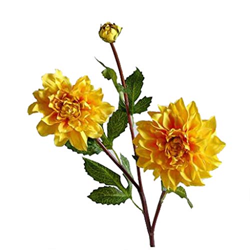 TXXM Gefälschte Blume künstliche Blume Dahlia Wohnzimmer Schlafzimmer Innen Esstisch Floral Getrocknete Blumen (Color : A) von TXXM