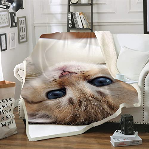 Überwurfdecke mit Katzen-Motiv, weiche und bequeme Fleece-Decke für Erwachsene und Kinder (150 x 200 cm), 3D-Druck von TXZSTGB