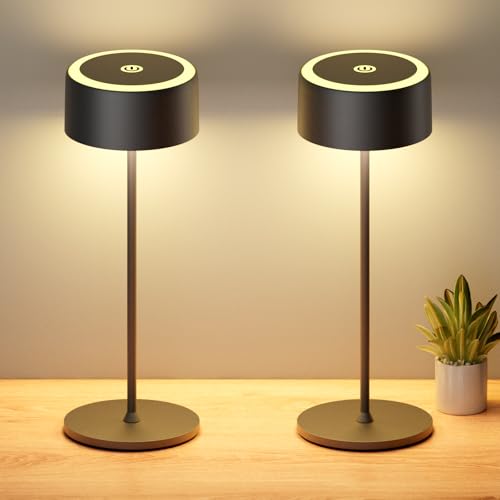TYEE 2 Stück Tischlampe Kabellose LED Dimmbare Akku Tischleuchte, Wiederaufladbar Warme Licht 2200-3000K Tischleuchte Für Innen/Aussen mit USB-C,Aluminium Tischlampe IP54 Wasserdichte,Schwarz von TYEE