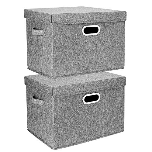 TYEERS Aufbewahrungsbox mit Deckel Groß, Stoff, Faltbare, Waschbare, Kisten Aufbewahrung mit Deckel, 44x30x29 cm, 2-Stück, Grau TYEERS Aufbewahrungsbox mit Deckel Groß, Stoff, Faltbare, Waschbare, Kisten Aufbewahrung mit Deckel, 44x30x29 cm, 2-Stück, Grau von TYEERS