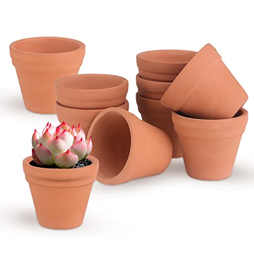 TYFYH Tontöpfe Klein 10 Stück Mini Terrakotta Ø 3,5cm Kleine Terrakotta Töpfe, Kleine Tontöpfe zum Basteln, Blumentopf Klein für Lnnen und Außenbereiche von TYFYH