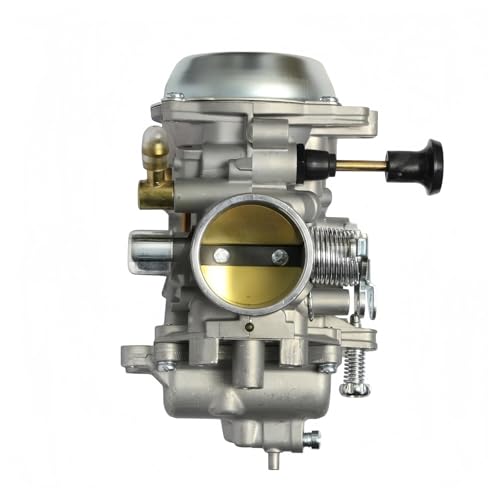 Vergaser, kompatibel for SUZUKI DR200 DR200SE DR200S, 13200-42AC0 13200-42AC2 Vergaser von TYGHBNM