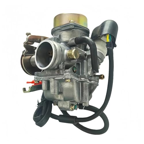 Vergaser, kompatibel for Suzuki Burgman 250 AN250, 250 CC Carb Dual Two 2 Gaszug Vergaser, kompatibel for Suzuki Burgman 250 AN250, 250 CC Carb Dual Two 2 Gaszug von TYGHBNM