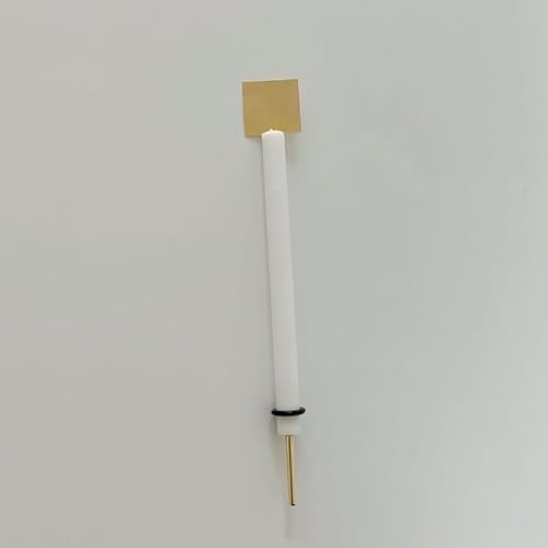 1 Stück Gegenelektrode aus 99,99% reinem Gold for die Elektrochemie | Anpassbare Größen mit PTFE-Stäben(5x10x0.1mm) von TYGIYY