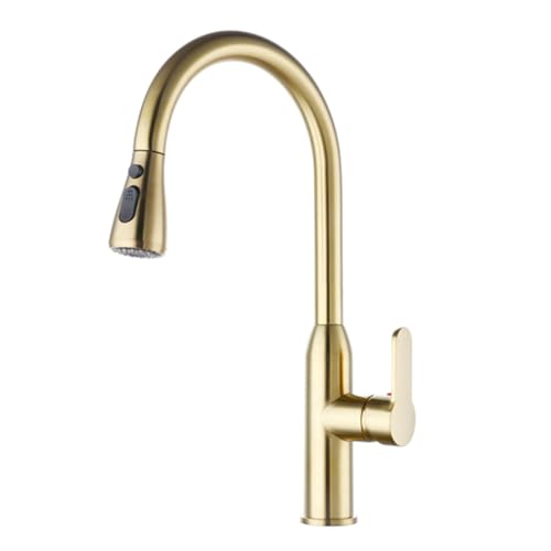 TYMYW Küchenarmatur mit Herausziehbarer Brause mit Zwei Strahlarten 360° Schwenkbar Küchenarmatur Messing,Gold TYMYW Küchenarmatur mit Herausziehbarer Brause mit Zwei Strahlarten 360° Schwenkbar Küchenarmatur Messing,Gold von TYMYW