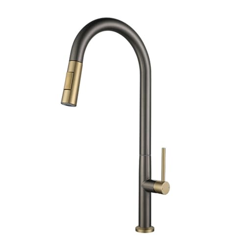 TYMYW Wasserhahn Küche Ausziehbar, Küchenarmatur mit Brause 2 Modus 360° Schwenkbar Einzelloch Mischbatterie,Grau + Gold TYMYW Wasserhahn Küche Ausziehbar, Küchenarmatur mit Brause 2 Modus 360° Schwenkbar Einzelloch Mischbatterie,Grau + Gold von TYMYW