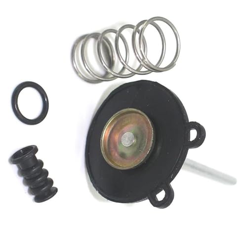 Ersatzzubehör Für CB450SC Für Night Hawk 1982 GL1100 Goldwing Alle 1980-1983 Vergaser Carb Rebuild Reparatursatz Beschleunigerpumpe Membran Ersatzzubehör Für CB450SC Für Night Hawk 1982 GL1100 Goldwing Alle 1980-1983 Vergaser Carb Rebuild Reparatursatz Beschleunigerpumpe Membran von TYNBV