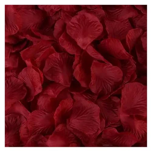 TYNXK 2000Pcs Künstliche Gefälschte Rose Blütenblätter Bunte Simulation Seide Rose Blütenblatt for Valentinstag Hochzeit Party(Wine Red) von TYNXK