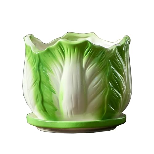 TYNXK Blumentopf Kreative Becken Mit EINEM Tablett Drinnen Topfpflanze Blume Vase Garten Zubehör(M) von TYNXK