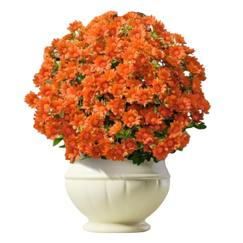 TYUKXJH Künstliche Chrysanthemen, 10 künstliche Chrysanthemen, Sonnenuntergang, für den Außenbereich, realistische Pflanzendekoration, für Innen- und Außenbereich, Fensterbank, Balkon von TYUKXJH