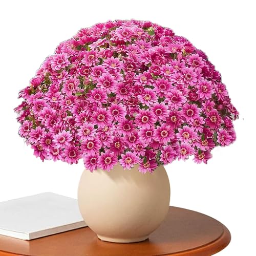 TYUKXJH Künstliche Chrysanthemen – 10 Stück Chrysanthemen Herbst Sonnenuntergang für den Außenbereich – realistische Pflanzendekoration für Innen Außen Fensterbank Balkon Garten von TYUKXJH