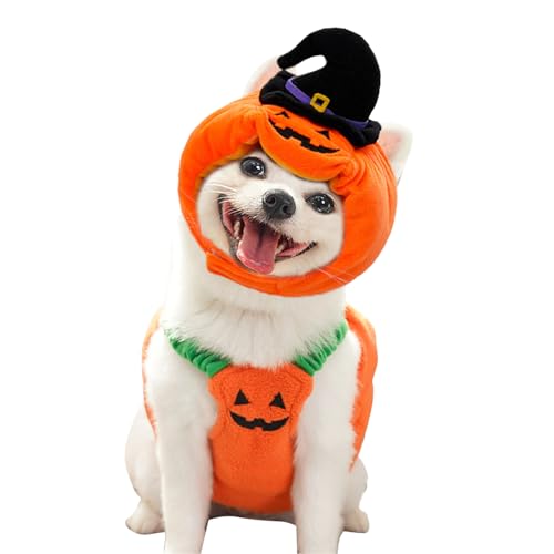 TYUKXJH Kürbis-Kostüm für Hunde – Kürbishut für Welpen | Bequemes Halloween-Outfit für tägliche Spaziergänge Fotografie Themenpartys TYUKXJH Kürbis-Kostüm für Hunde – Kürbishut für Welpen | Bequemes Halloween-Outfit für tägliche Spaziergänge Fotografie Themenpartys von TYUKXJH