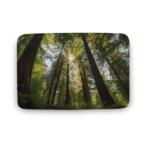 Badezimmerteppich, Bäume, Natur, Badematte für Badezimmer, saugfähig, rutschfeste Bodenmatte, schnell trocknend, Badteppich für Schlafzimmer, Küche, Waschbecken, Badewannenrand Badezimmerteppich, Bäume, Natur, Badematte für Badezimmer, saugfähig, rutschfeste Bodenmatte, schnell trocknend, Badteppich für Schlafzimmer, Küche, Waschbecken, Badewannenrand von TYULN