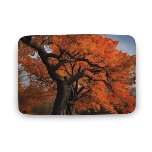 Badezimmerteppich, Baum im Herbst, Badematte für Badezimmer, saugfähig, rutschfeste Bodenmatte, schnell trocknend, Badteppich für Schlafzimmer, Küche, Waschbecken, Badewannenrand, 40 x 60 cm Badezimmerteppich, Baum im Herbst, Badematte für Badezimmer, saugfähig, rutschfeste Bodenmatte, schnell trocknend, Badteppich für Schlafzimmer, Küche, Waschbecken, Badewannenrand, 40 x 60 cm von TYULN