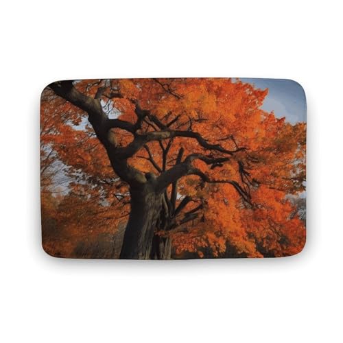 Badezimmerteppich, Baum im Herbst, Badematte für Badezimmer, saugfähig, rutschfeste Bodenmatte, schnell trocknend, Badteppich für Schlafzimmer, Küche, Waschbecken, Badewannenrand, 50 x 80 cm Badezimmerteppich, Baum im Herbst, Badematte für Badezimmer, saugfähig, rutschfeste Bodenmatte, schnell trocknend, Badteppich für Schlafzimmer, Küche, Waschbecken, Badewannenrand, 50 x 80 cm von TYULN
