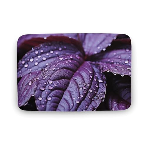 TYULN Badezimmerteppich, 40 x 60 cm, violette Pflanzenblätter, Badematte für Badezimmer, saugfähige Duschmatten, rutschfeste Bodenmatte, schnell trocknend, Badteppich für Schlafzimmer, Küche TYULN Badezimmerteppich, 40 x 60 cm, violette Pflanzenblätter, Badematte für Badezimmer, saugfähige Duschmatten, rutschfeste Bodenmatte, schnell trocknend, Badteppich für Schlafzimmer, Küche von TYULN