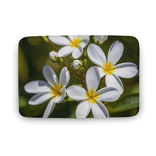 TYULN Badezimmerteppich, 40 x 60 cm, weiße kleine Blumen, Badematte für Badezimmer, saugfähige Duschmatten, rutschfeste Bodenmatte, schnell trocknend, Badteppich für Schlafzimmer, Küche, Waschbecken TYULN Badezimmerteppich, 40 x 60 cm, weiße kleine Blumen, Badematte für Badezimmer, saugfähige Duschmatten, rutschfeste Bodenmatte, schnell trocknend, Badteppich für Schlafzimmer, Küche, Waschbecken von TYULN