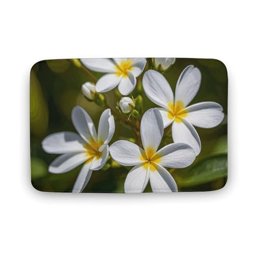 TYULN Badezimmerteppich, 50 x 80 cm, Weiß, kleine Blumen, Badematte für Badezimmer, saugfähige Duschmatten, rutschfeste Bodenmatte, schnell trocknend, Badteppich für Schlafzimmer, Küche, Waschbecken TYULN Badezimmerteppich, 50 x 80 cm, Weiß, kleine Blumen, Badematte für Badezimmer, saugfähige Duschmatten, rutschfeste Bodenmatte, schnell trocknend, Badteppich für Schlafzimmer, Küche, Waschbecken von TYULN