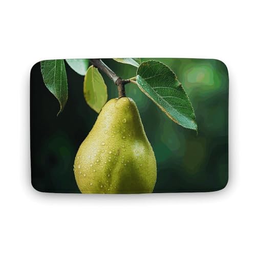 TYULN Badezimmerteppich, Birnen auf dem Baum, saugfähig, rutschfeste Bodenmatte, schnell trocknend, Badteppich für Schlafzimmer, Küche, Waschbecken, Badewannenrand, 50 x 80 cm TYULN Badezimmerteppich, Birnen auf dem Baum, saugfähig, rutschfeste Bodenmatte, schnell trocknend, Badteppich für Schlafzimmer, Küche, Waschbecken, Badewannenrand, 50 x 80 cm von TYULN