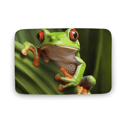 TYULN Badezimmerteppich, Frosch, Badematte für Badezimmer, saugfähig, rutschfest, schnell trocknend, Badteppich für Schlafzimmer, Küche, Waschbecken, Badewannenrand, 40 x 60 cm TYULN Badezimmerteppich, Frosch, Badematte für Badezimmer, saugfähig, rutschfest, schnell trocknend, Badteppich für Schlafzimmer, Küche, Waschbecken, Badewannenrand, 40 x 60 cm von TYULN