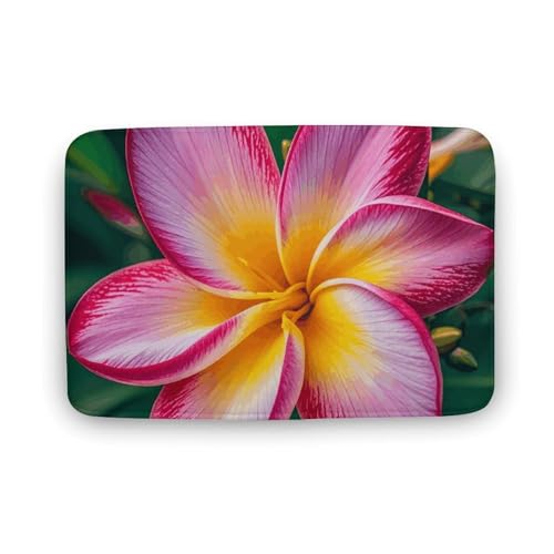 TYULN Badezimmerteppich, Hawaiianische bunte Blume, Badematte für Badezimmer, saugfähig, rutschfest, schnell trocknend, Badteppich für Schlafzimmer, Küche, Waschbecken, Badewannenrand, 50 x 80 cm TYULN Badezimmerteppich, Hawaiianische bunte Blume, Badematte für Badezimmer, saugfähig, rutschfest, schnell trocknend, Badteppich für Schlafzimmer, Küche, Waschbecken, Badewannenrand, 50 x 80 cm von TYULN