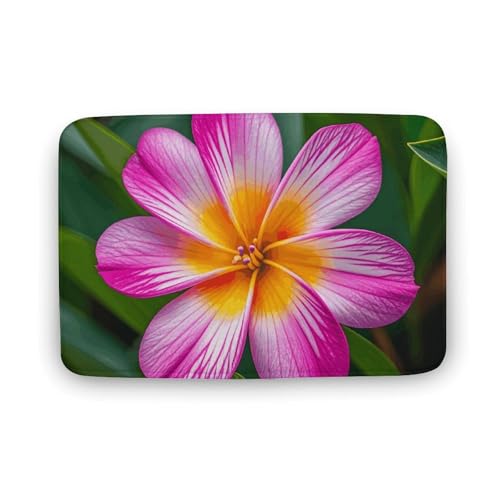 TYULN Badezimmerteppich, Hawaiianische bunte Blumen, Badematte für Badezimmer, saugfähig, rutschfest, schnell trocknend, Badteppich für Schlafzimmer, Küche, Waschbecken, Badewannenrand, 50 x 80 cm TYULN Badezimmerteppich, Hawaiianische bunte Blumen, Badematte für Badezimmer, saugfähig, rutschfest, schnell trocknend, Badteppich für Schlafzimmer, Küche, Waschbecken, Badewannenrand, 50 x 80 cm von TYULN