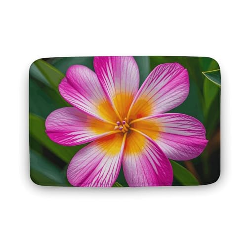 TYULN Badezimmerteppich, Hawaiianische bunte Blumen, Badematte für Badezimmer, saugfähige Duschmatten, rutschfeste Bodenmatte, schnell trocknend, Badteppich für Schlafzimmer, Küche, Waschbecken TYULN Badezimmerteppich, Hawaiianische bunte Blumen, Badematte für Badezimmer, saugfähige Duschmatten, rutschfeste Bodenmatte, schnell trocknend, Badteppich für Schlafzimmer, Küche, Waschbecken von TYULN