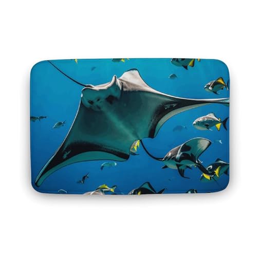 TYULN Badezimmerteppich, Mantarochen und Fische, Badematte für Badezimmer, saugfähig, rutschfest, schnell trocknend, Badteppich für Schlafzimmer, Küche, Waschbecken, Badewannenrand, 50 x 80 cm TYULN Badezimmerteppich, Mantarochen und Fische, Badematte für Badezimmer, saugfähig, rutschfest, schnell trocknend, Badteppich für Schlafzimmer, Küche, Waschbecken, Badewannenrand, 50 x 80 cm von TYULN