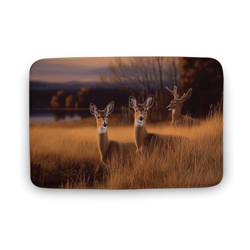 TYULN Badezimmerteppich, Natur, Wildtiere, Hirsche, Badematte für Badezimmer, saugfähige Duschmatten, rutschfeste Bodenmatte, schnell trocknend, Badteppich für Schlafzimmer, Küche, Waschbecken TYULN Badezimmerteppich, Natur, Wildtiere, Hirsche, Badematte für Badezimmer, saugfähige Duschmatten, rutschfeste Bodenmatte, schnell trocknend, Badteppich für Schlafzimmer, Küche, Waschbecken von TYULN
