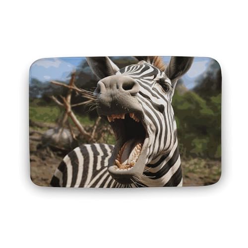 TYULN Badezimmerteppich, lustiger Zebra-Badteppich für Badezimmer, saugfähige Duschmatten, rutschfeste Bodenmatte, schnell trocknend, Badteppich für Schlafzimmer, Küche, Waschbecken, Badewannenrand TYULN Badezimmerteppich, lustiger Zebra-Badteppich für Badezimmer, saugfähige Duschmatten, rutschfeste Bodenmatte, schnell trocknend, Badteppich für Schlafzimmer, Küche, Waschbecken, Badewannenrand von TYULN