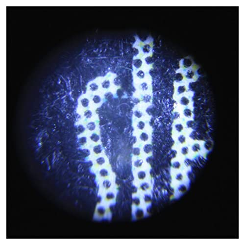 Mikroskopzubehör 4. 0x LED. Beleuchteter verstellbarer Taschenmikroskop-Handheld-Lupe mit Lesemaßstab 0,05 mm Haltbarkeit und zuverlässige Leistung(Without scale) von TYZK