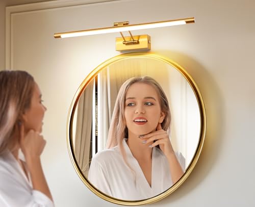 TYhogar LED Spiegelleuchte Badezimmer 60cm 12W, Dimmen einer einzigen Farbtemperatur LED-Bilderleuchte mit Schwenkbarem Lampenkopf, Wandleuchte Spiegel Beleuchtung Lampe von TYhogar