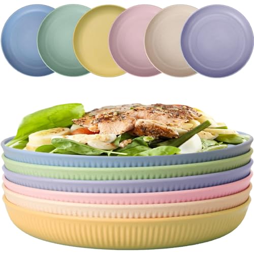 Taasmoog 6 Stück Teller, Unzerbrechliche & Robuste Dinner Plates 9inch Speiseteller für Salat Pasta Party Zuhause Spülmaschinenfest von Taasmoog