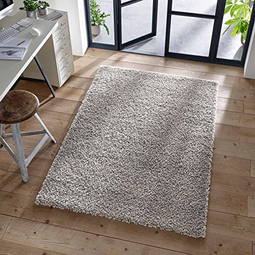 TacaHome Shaggy Teppich I Flauschiger Langflor fürs Wohnzimmer, Esszimmer, Schlafzimmer oder Kinderzimmer | 300 x 400 cm Grau von TacaHome