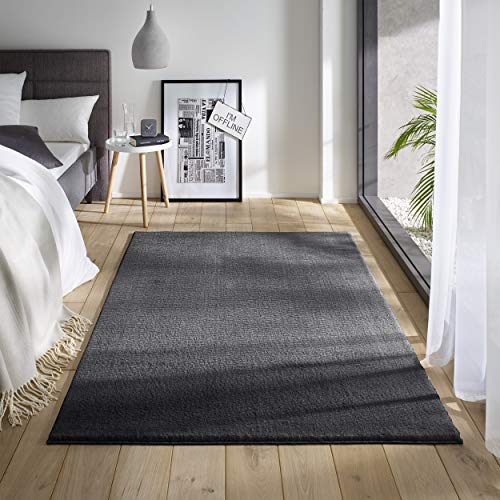 TacaHome Waschbarer Kurzflor Teppich Anti-Rutsch I Flauschiger Flachflor für Badezimmer Wohnzimmer Schlafzimmer Kinderzimmer Flur Läufer | 200 x 290 cm Anthrazit von TacaHome