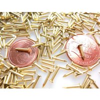 Kleine Massive Messing-Verschlüsse 18 # | Fi1, 2 Mm × 1/4 "- 1" | 1, 2 6-25 Flachkopf, Heftnägel, Polierte Und Präzise Rosettenstifte - 200 Stück Pc4 Kleine Massive Messing-Verschlüsse 18 # | Fi1, 2 Mm × 1/4 "- 1" | 1, 2 6-25 Flachkopf, Heftnägel, Polierte Und Präzise Rosettenstifte - 200 Stück Pc4 von TacksAndNails