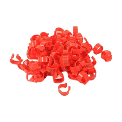 100 Stück 16 mm große, leere Kunststoff-Anhängerschnallen für Geflügelbeine zur Identifizierung von Hühner-, Enten- und Gänsebeinen, einfach zu verwenden.,Rot,Einheitsgrösse 100 Stück 16 mm große, leere Kunststoff-Anhängerschnallen für Geflügelbeine zur Identifizierung von Hühner-, Enten- und Gänsebeinen, einfach zu verwenden.,Rot,Einheitsgrösse von Taconey