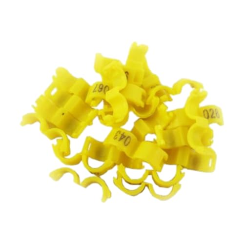 50 Stück 2,7/3/4/4,5/5 mm Kunststoff-Beinbänder mit Clip zur Identifizierung von Tauben- und Papageienbeinbändern,Gelb,5 mm 50 Stück 2,7/3/4/4,5/5 mm Kunststoff-Beinbänder mit Clip zur Identifizierung von Tauben- und Papageienbeinbändern,Gelb,5 mm von Taconey