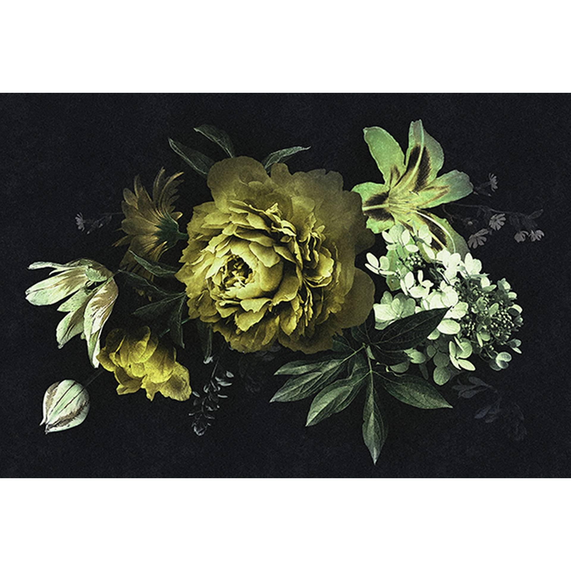 Fototapete Blumen M1-No.60795 | Digitaldruck | Gelb | Schwarz | Rosen von Tadessi