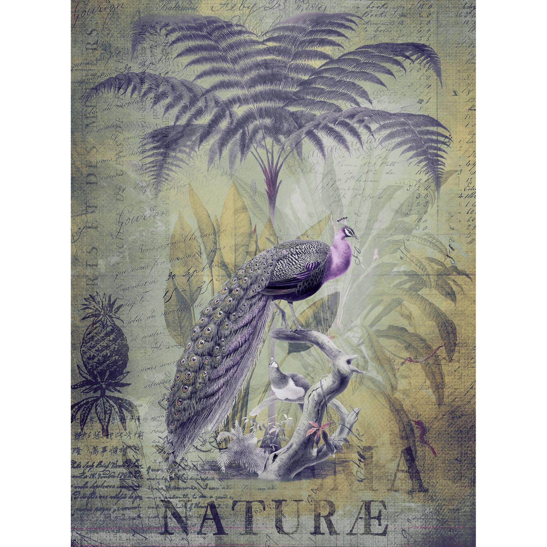 Fototapete Vögel M1-No.60999 | Digitaldruck | Lila | Gelb | Paris | Dschungel von Tadessi