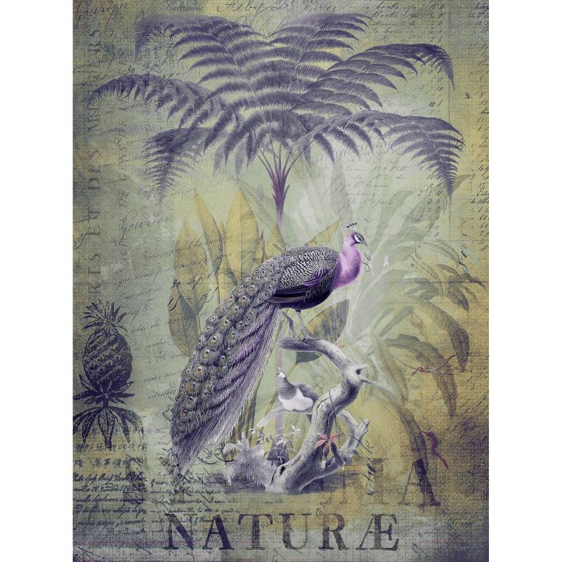 Fototapete Vögel M1-No.60999 | Digitaldruck | Lila | Gelb | Paris | Dschungel von Tadessi