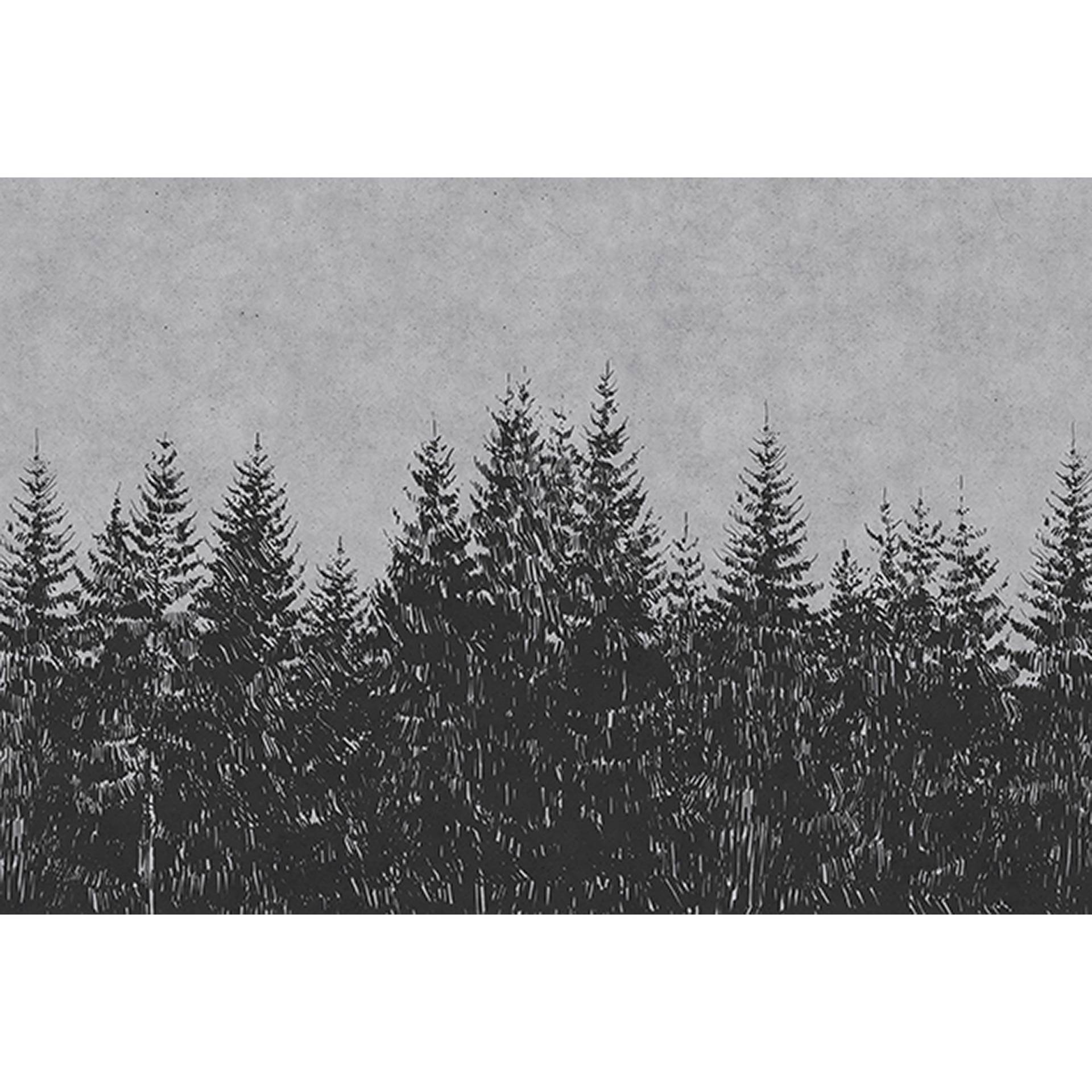 Fototapete Wald M1-No.60528 | Digitaldruck | Grau | Schwarz von Tadessi