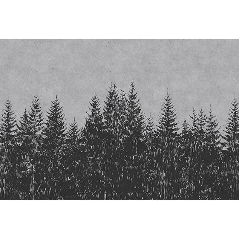 Fototapete Wald M1-No.60528 | Digitaldruck | Grau | Schwarz Fototapete Wald M1-No.60528 | Digitaldruck | Grau | Schwarz von Tadessi