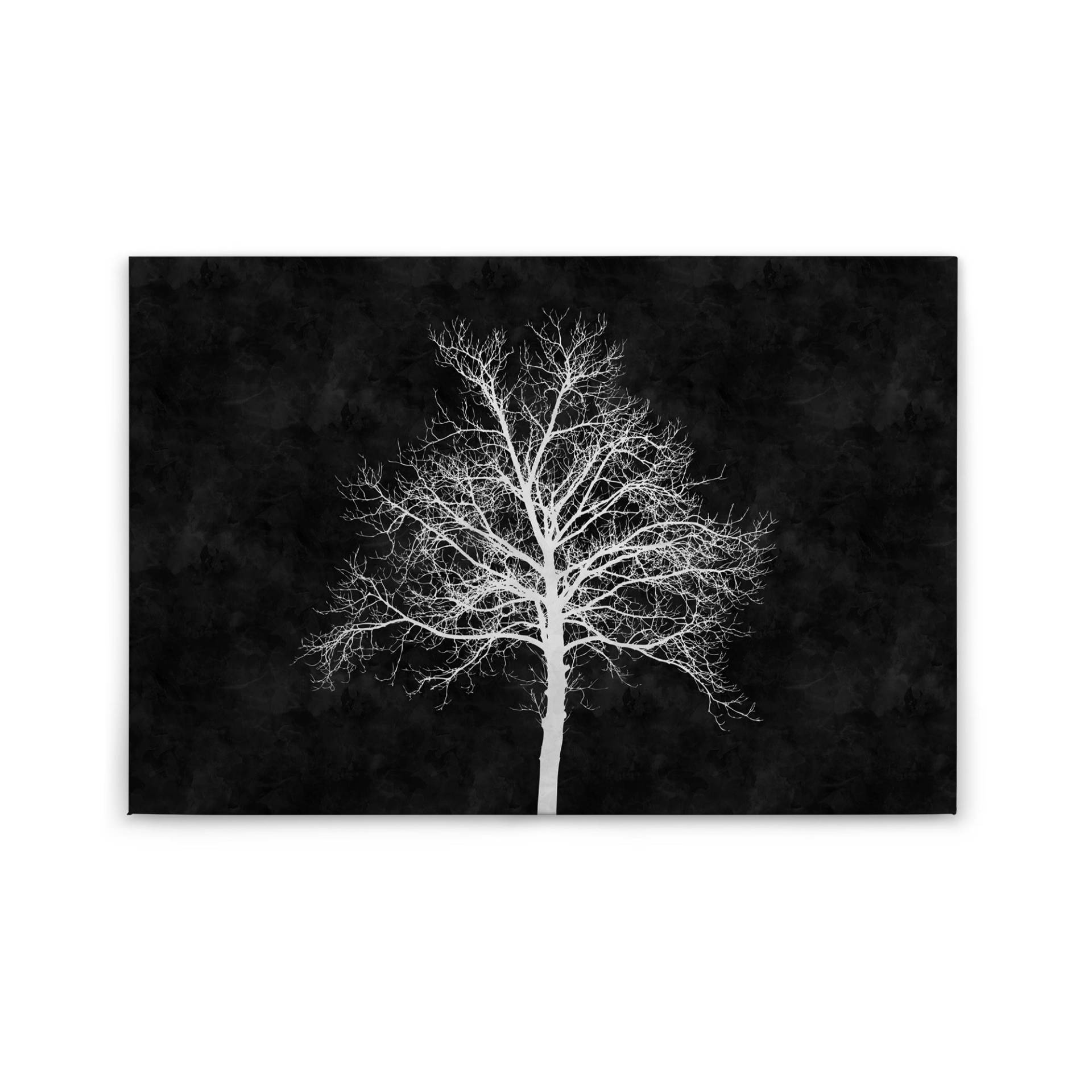 Leinwandbild Bäume Wald M1-No.50104 | Wandbild 60 x 90 cm | Schwarz Weiß Baum Keilrahmen von Tadessi