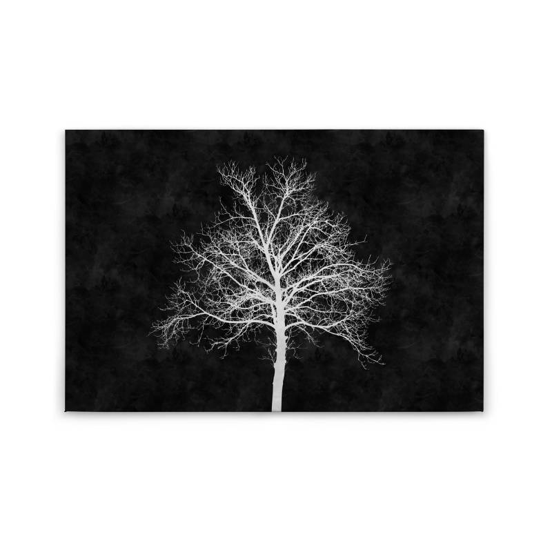 Leinwandbild Bäume Wald M1-No.50104 | Wandbild 60 x 90 cm | Schwarz Weiß Baum Keilrahmen von Tadessi