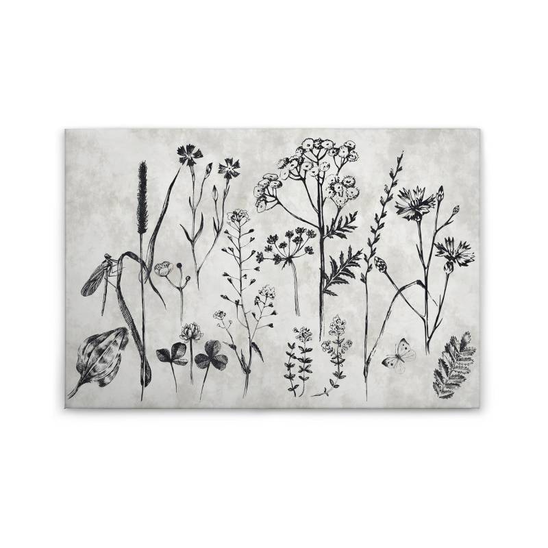 Leinwandbild Blumen M1-No.50109 | Wandbild 60 x 90 cm | Grau Schwarz Landhausstil Keilrahmen Floral Leinwandbild Blumen M1-No.50109 | Wandbild 60 x 90 cm | Grau Schwarz Landhausstil Keilrahmen Floral von Tadessi