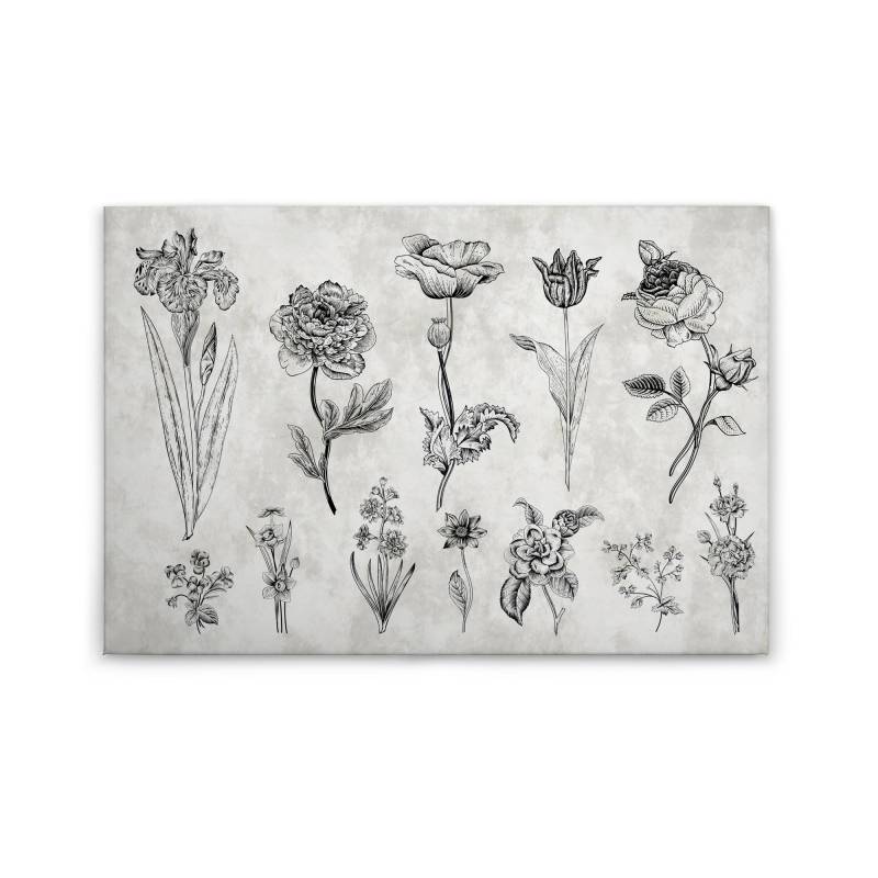 Leinwandbild Blumen M1-No.50110 | Wandbild 60 x 90 cm | Grau Schwarz Landhausstil Keilrahmen Floral Leinwandbild Blumen M1-No.50110 | Wandbild 60 x 90 cm | Grau Schwarz Landhausstil Keilrahmen Floral von Tadessi