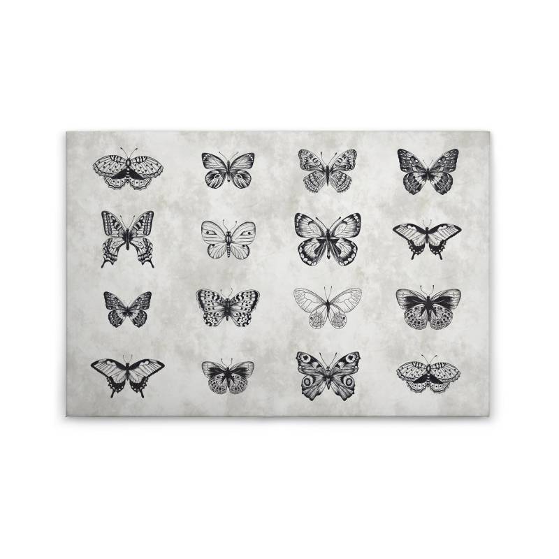 Leinwandbild Schmetterlinge M1-No.50111 | Wandbild 60 x 90 cm | Grau Schwarz Landhausstil Keilrahmen Leinwandbild Schmetterlinge M1-No.50111 | Wandbild 60 x 90 cm | Grau Schwarz Landhausstil Keilrahmen von Tadessi